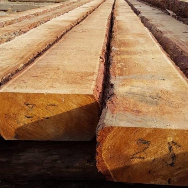 Кедр лафет для домостроения по ТУ заказчика.